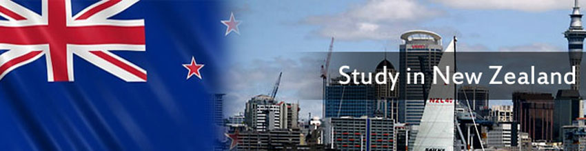 Tổng hợp học bổng du học New Zealand cho sinh viên quốc tế