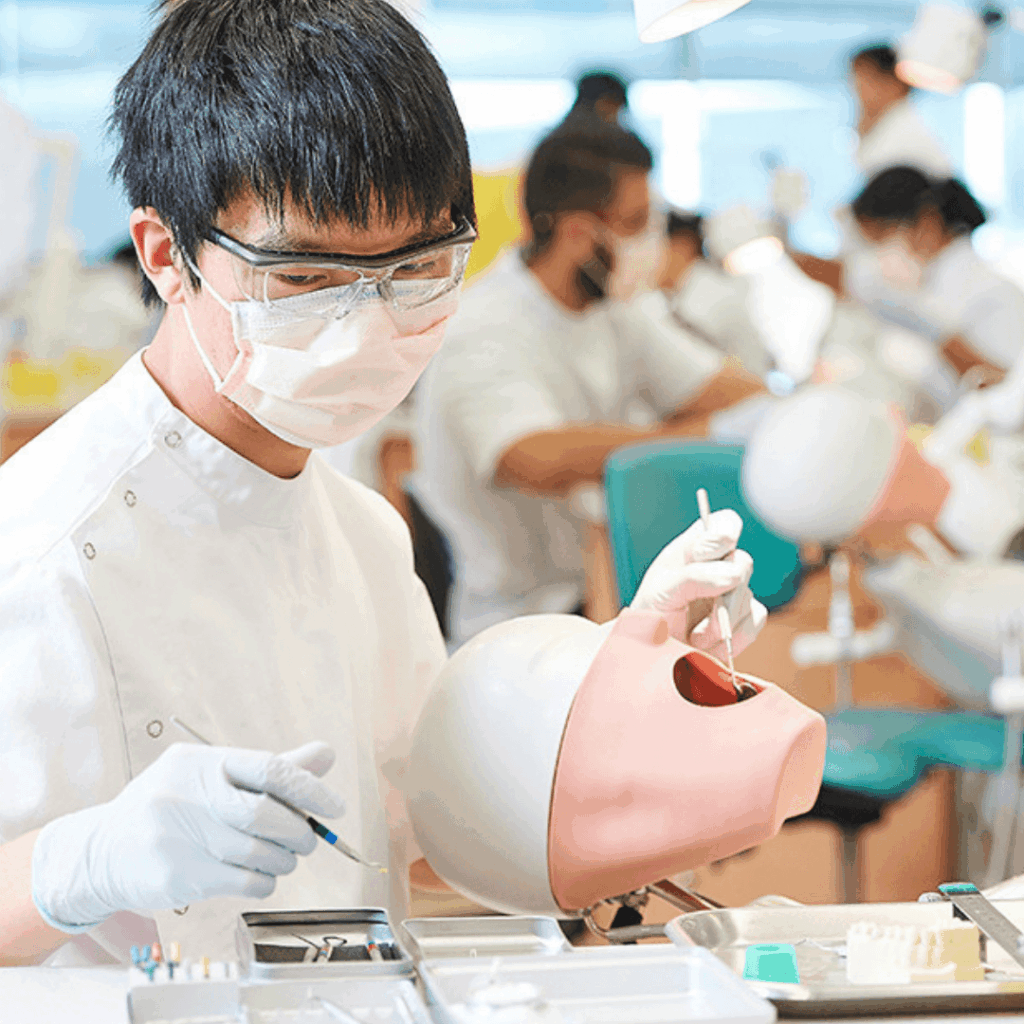 Du học ngành nha khoa tại Úc