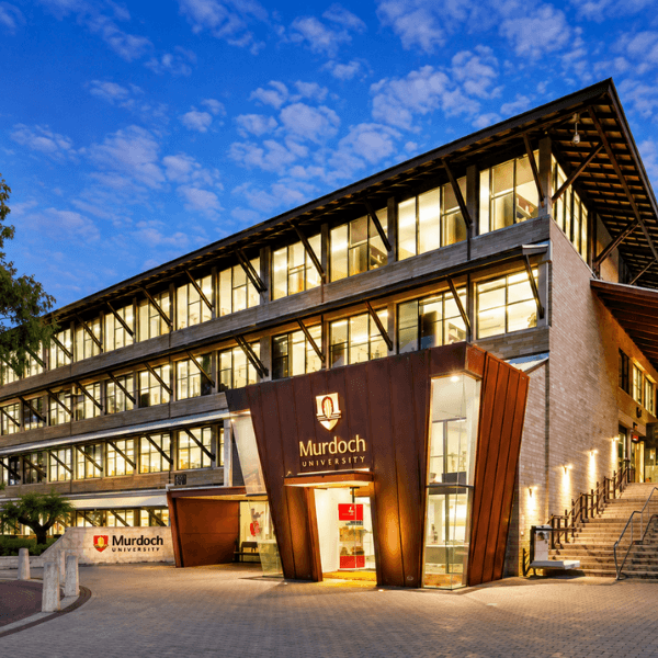 Đại học Murdoch Úc
