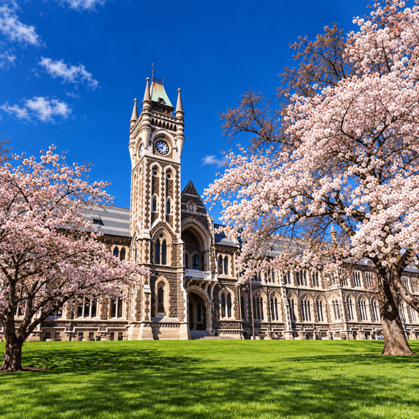 Trường đại học Otago